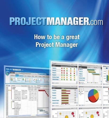 'How to be a Great Project Manager: Project Management (Kindle Edition)' by Jason Westland